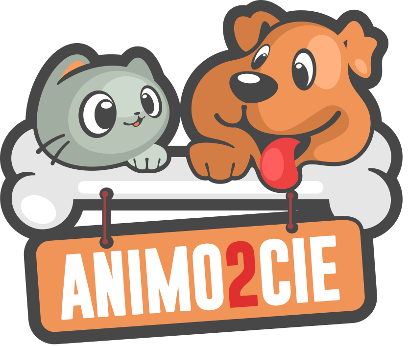 Animo2Cie