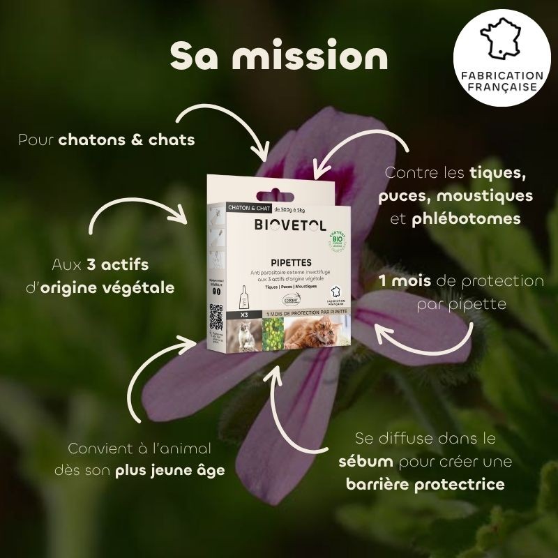 pipettes-insectifuges-chat-chaton pipettes-insectifuges-chat-chaton