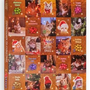 Calendrier de l'Avent de Noël 200 gr - Chat